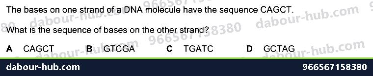 IGCSE Biology 4.2 Dna Molecule - Question 10