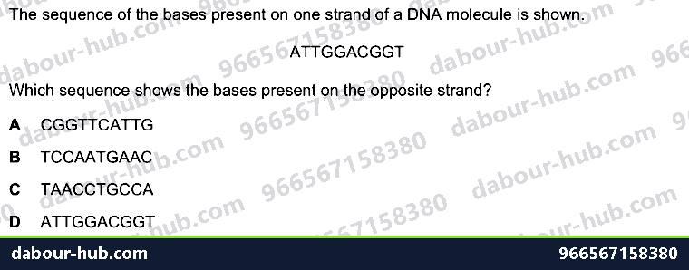 IGCSE Biology 4.2 Dna Molecule - Question 12