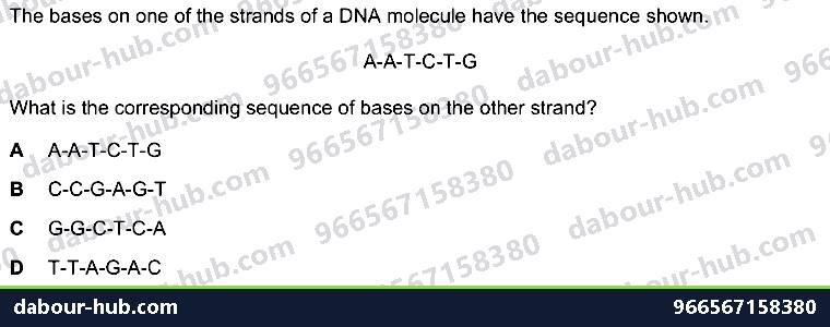 IGCSE Biology 4.2 Dna Molecule - Question 14