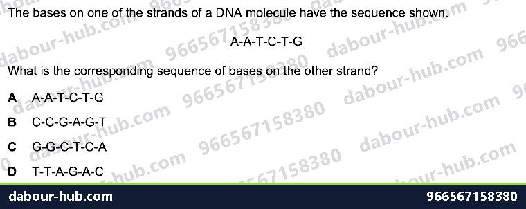IGCSE Biology 4.2 Dna Molecule - Question 5