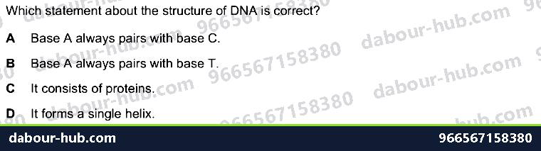 IGCSE Biology 4.2 Dna Molecule - Question 7