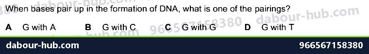 IGCSE Biology 4.2 Dna Molecule - Question 9