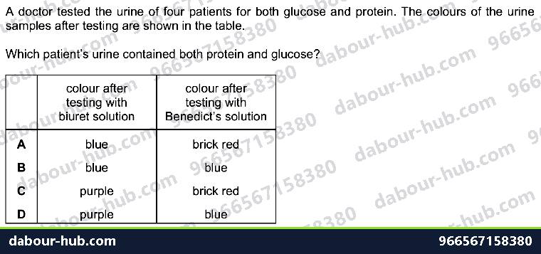IGCSE Biology 4.3 Food Test - Question 12