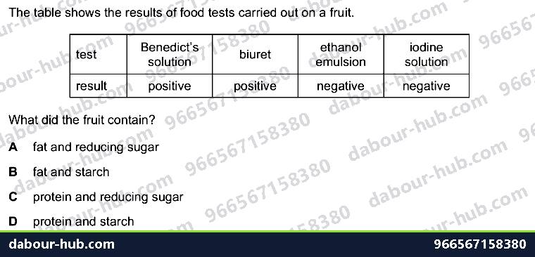 IGCSE Biology 4.3 Food Test - Question 14