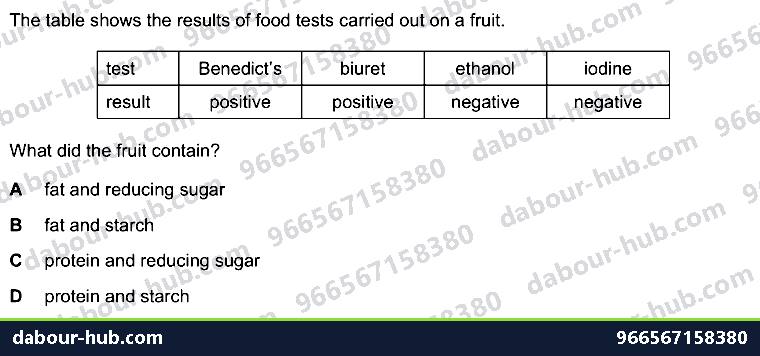IGCSE Biology 4.3 Food Test - Question 4