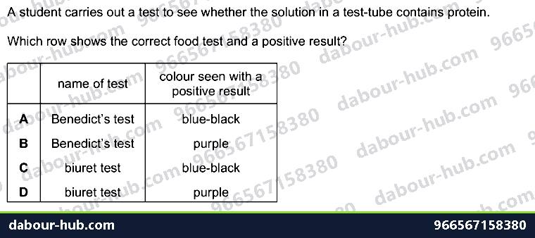 IGCSE Biology 4.3 Food Test - Question 8