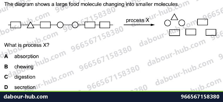 IGCSE Biology 5.1 Characteristics of Enzymes - Question 1