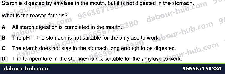 IGCSE Biology 5.1 Characteristics of Enzymes - Question 16