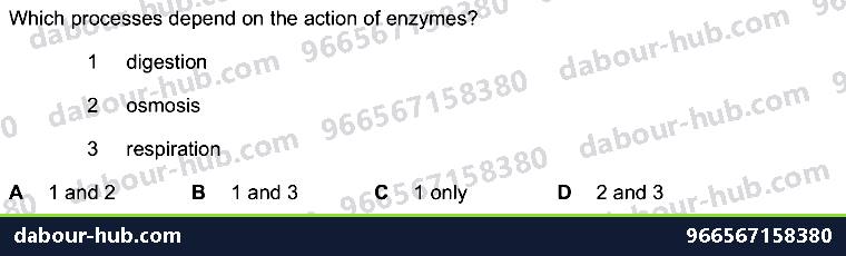 IGCSE Biology 5.1 Characteristics of Enzymes - Question 4