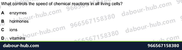IGCSE Biology 5.1 Characteristics of Enzymes - Question 6
