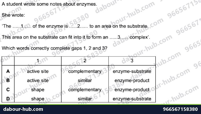 IGCSE Biology 5.1 Characteristics of Enzymes - Question 9
