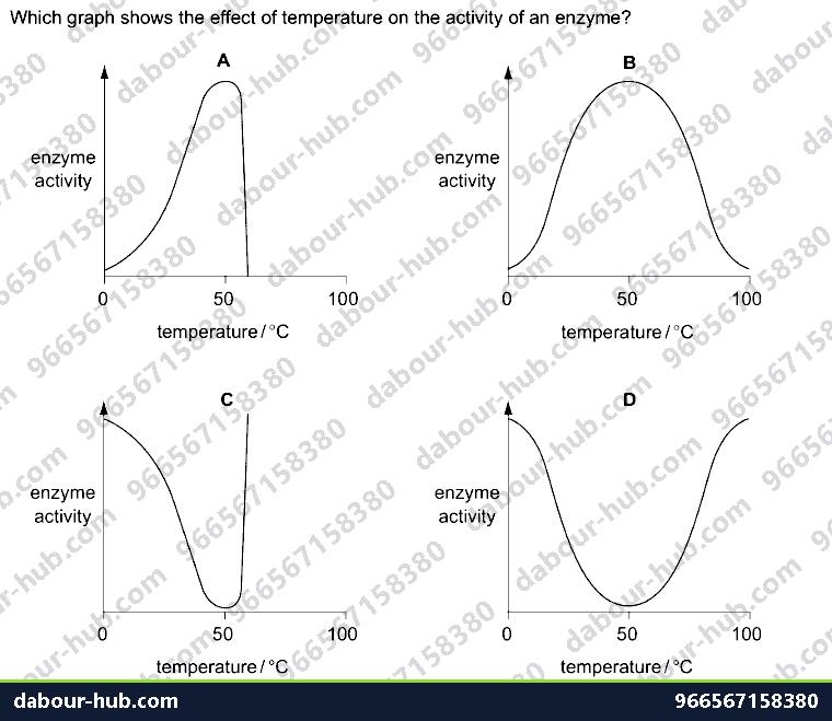IGCSE Biology 5.2 Effect of Temperature, Ph - Question 1