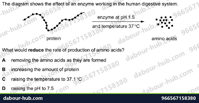 IGCSE Biology 5.2 Effect of Temperature, Ph - Question 11