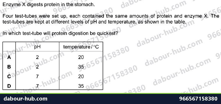 IGCSE Biology 5.2 Effect of Temperature, Ph - Question 12