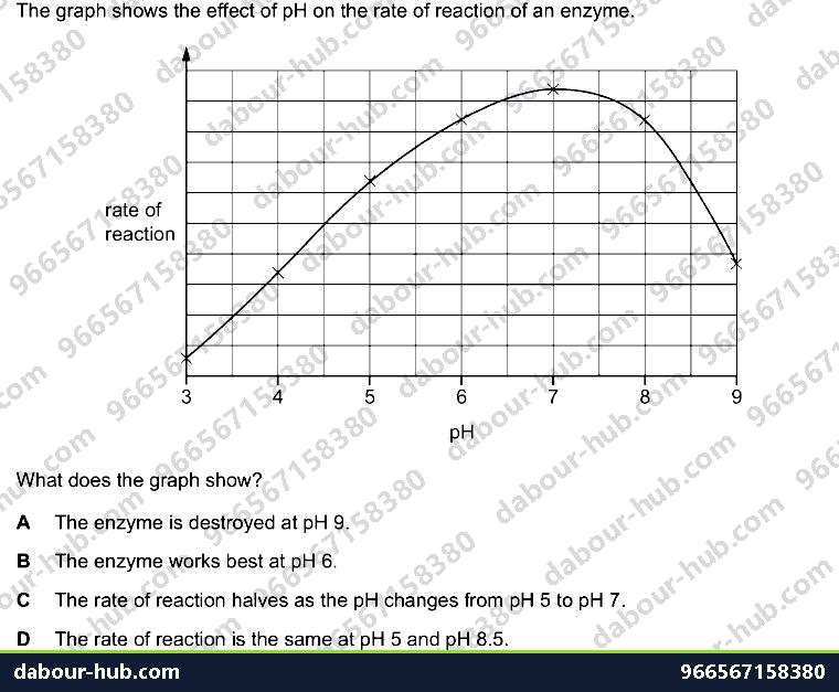 IGCSE Biology 5.2 Effect of Temperature, Ph - Question 15