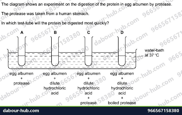 IGCSE Biology 5.3 Investigations - Question 4