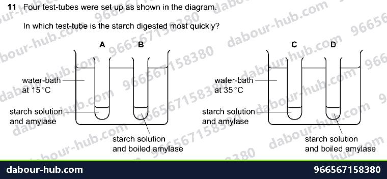 IGCSE Biology 5.3 Investigations - Question 5