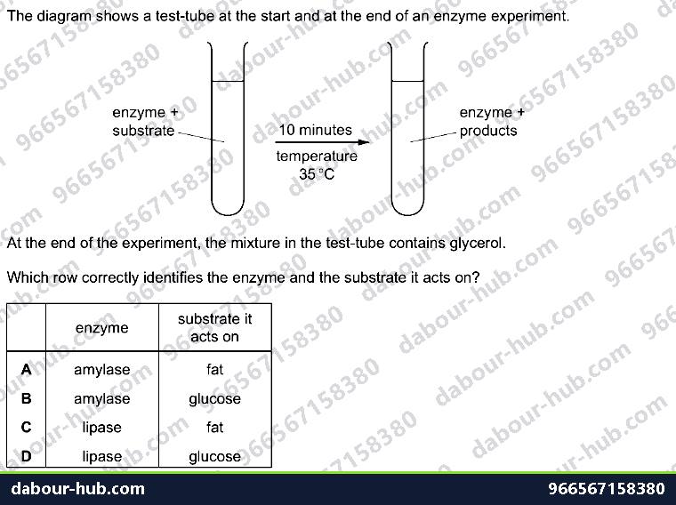 IGCSE Biology 5.3 Investigations - Question 6