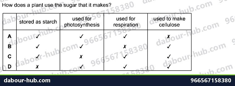 IGCSE Biology 6.1 Photosynthesis - Question 1