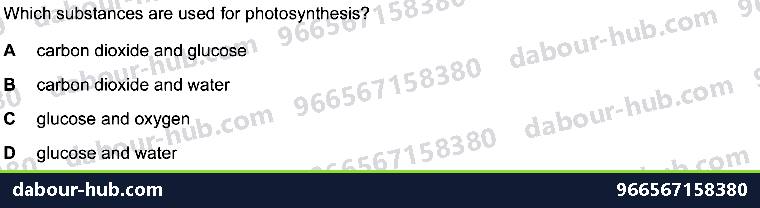IGCSE Biology 6.1 Photosynthesis - Question 2