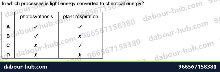 IGCSE Biology 6.1 Photosynthesis - Question 3