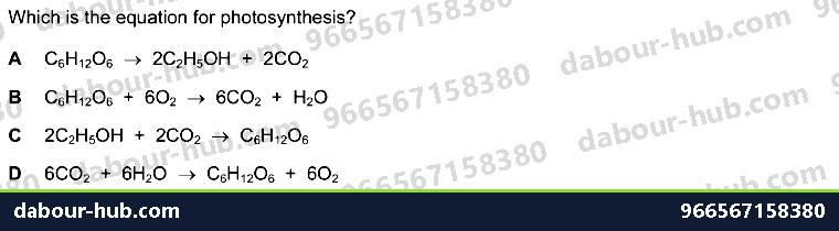 IGCSE Biology 6.1 Photosynthesis - Question 4