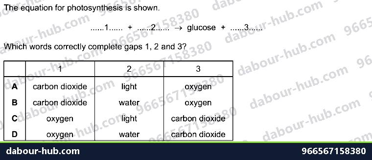 IGCSE Biology 6.1 Photosynthesis - Question 5