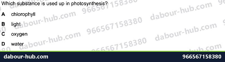 IGCSE Biology 6.1 Photosynthesis - Question 6