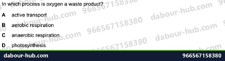 IGCSE Biology 6.1 Photosynthesis - Question 8