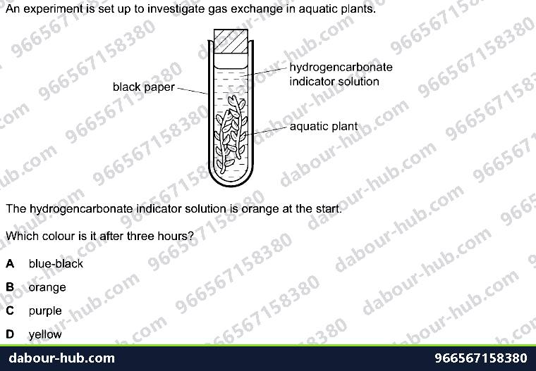IGCSE Biology 6.2 Investigation - Question 13