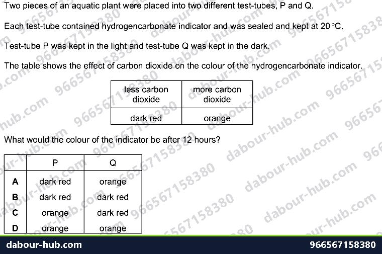 IGCSE Biology 6.2 Investigation - Question 14