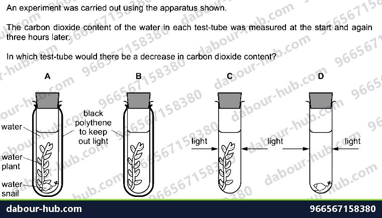 IGCSE Biology 6.2 Investigation - Question 4