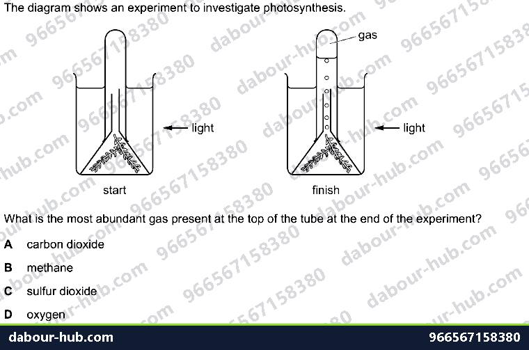 IGCSE Biology 6.2 Investigation - Question 5