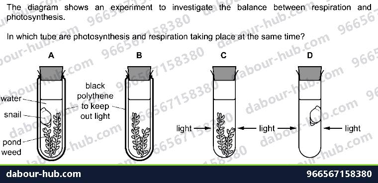 IGCSE Biology 6.2 Investigation - Question 6