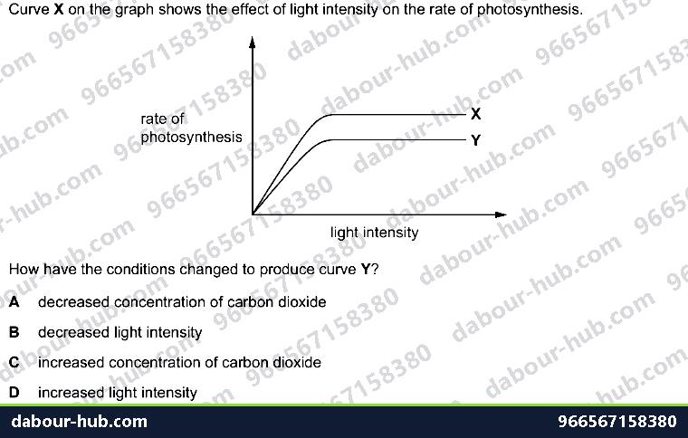 IGCSE Biology 6.2 Investigation - Question 9