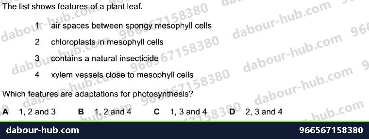 IGCSE Biology 6.3 Leaf Structure - Question 17