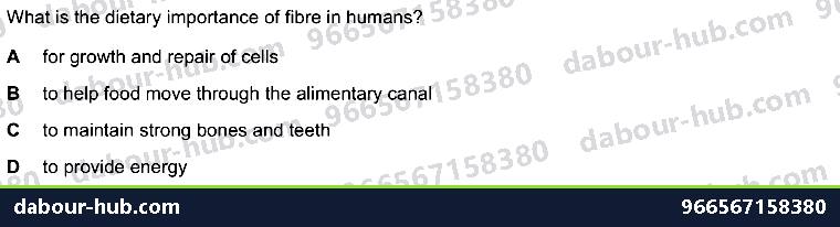 IGCSE Biology 7.1 Diet - Question 16