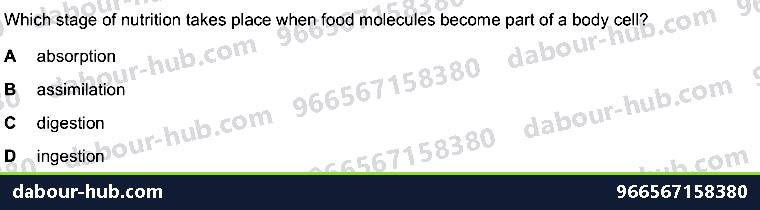 IGCSE Biology 7.2 Alimentary Canal - Question 12