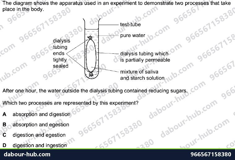 IGCSE Biology 7.2 Alimentary Canal - Question 13