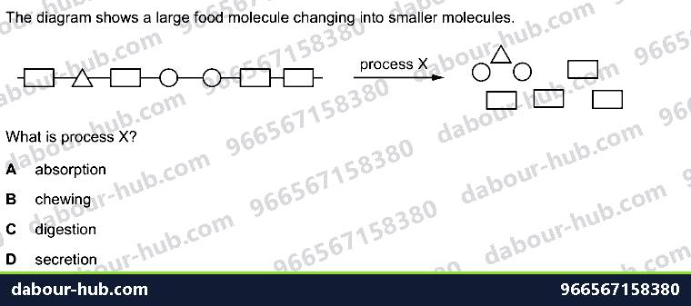 IGCSE Biology 7.2 Alimentary Canal - Question 15