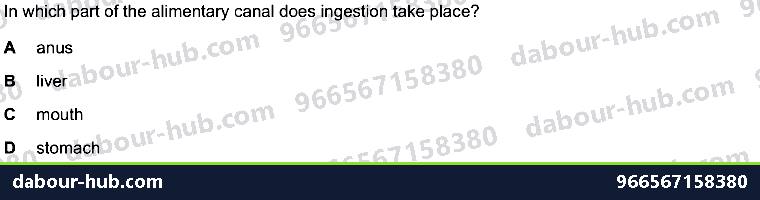 IGCSE Biology 7.2 Alimentary Canal - Question 17