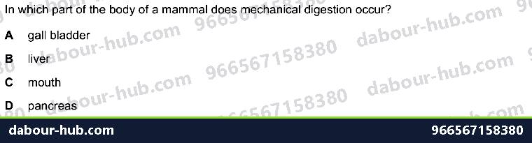 IGCSE Biology 7.3 Physical Digestion - Question 5