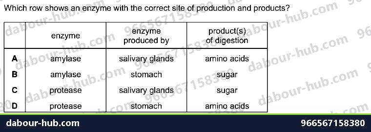 IGCSE Biology 7.4 Chemical Digestion - Question 10