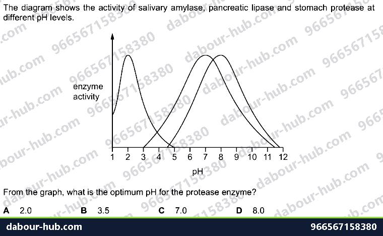 IGCSE Biology 7.4 Chemical Digestion - Question 11