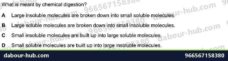 IGCSE Biology 7.4 Chemical Digestion - Question 12