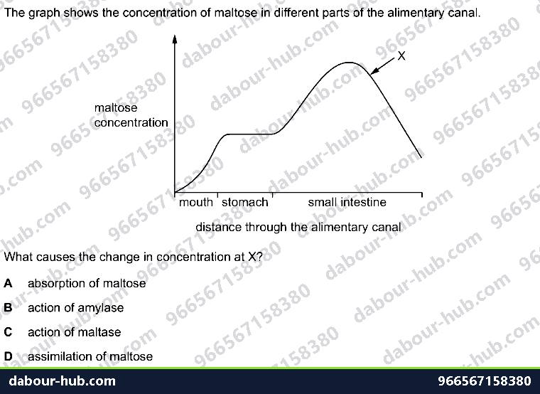 IGCSE Biology 7.4 Chemical Digestion - Question 13