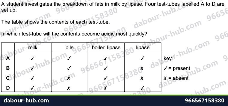 IGCSE Biology 7.4 Chemical Digestion - Question 14