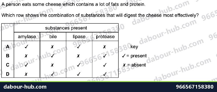 IGCSE Biology 7.4 Chemical Digestion - Question 15