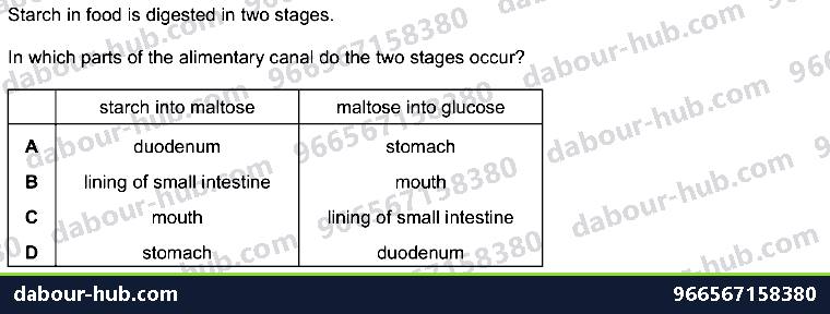 IGCSE Biology 7.4 Chemical Digestion - Question 16