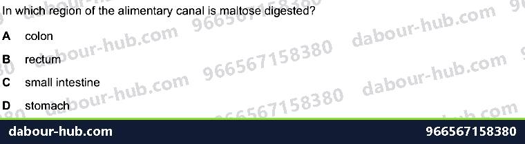 IGCSE Biology 7.4 Chemical Digestion - Question 2